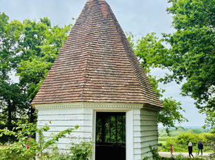 これは何(なに)？　What is this?