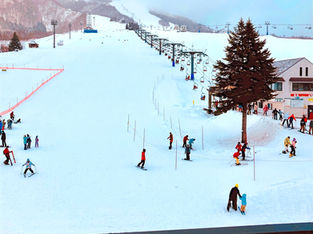 にほんごブログ：にほんでスノーボード