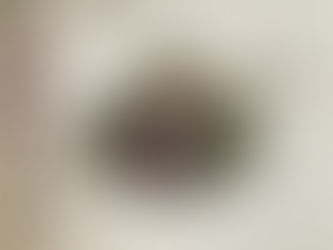 にほんごブログ:ワンピース