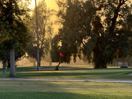 Sunset through the trees near a golf fairway