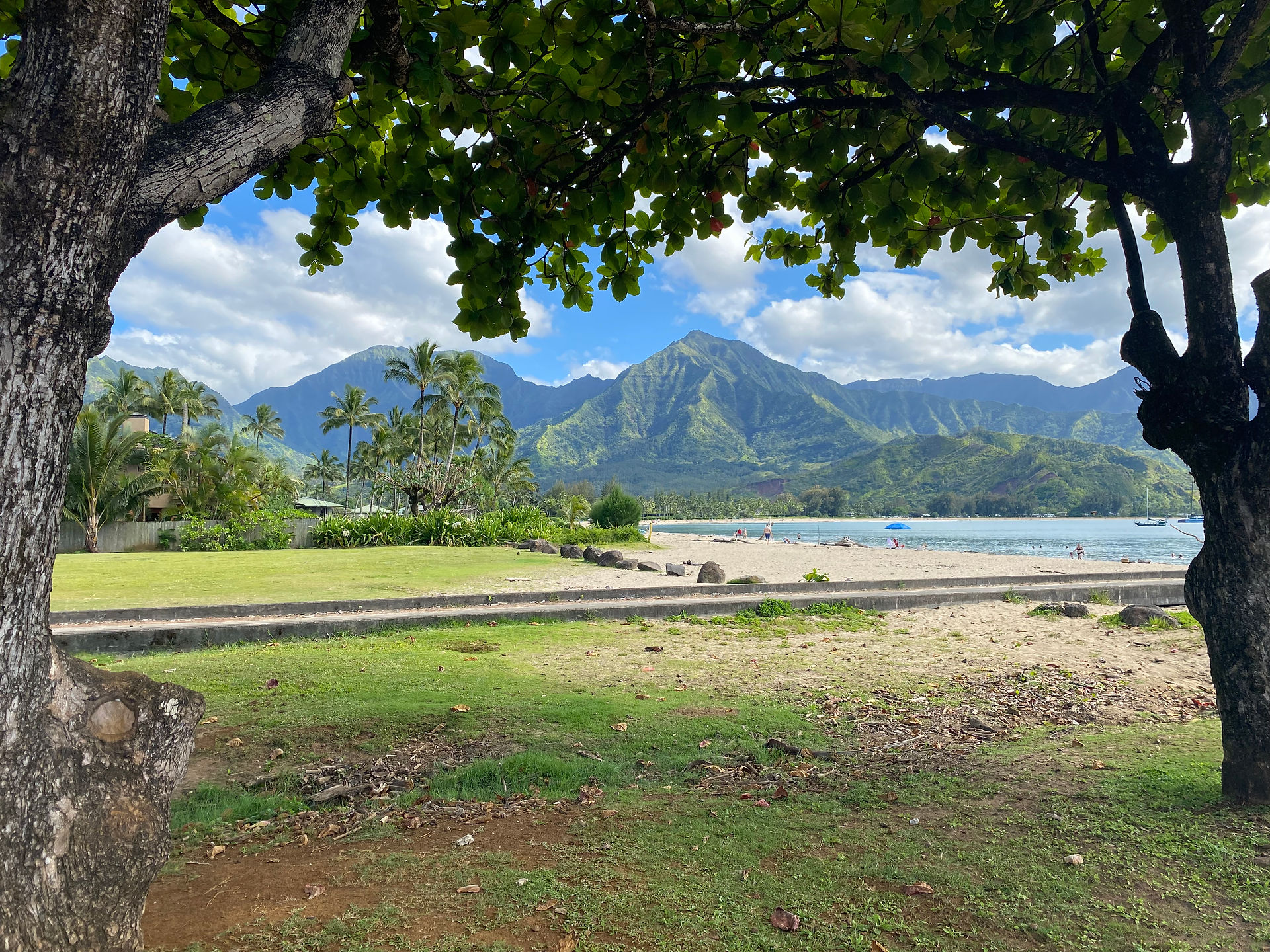 Hanalei Beach