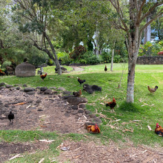 Kukuiolono Park and Golf Course