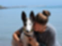 Rescue Greyhound