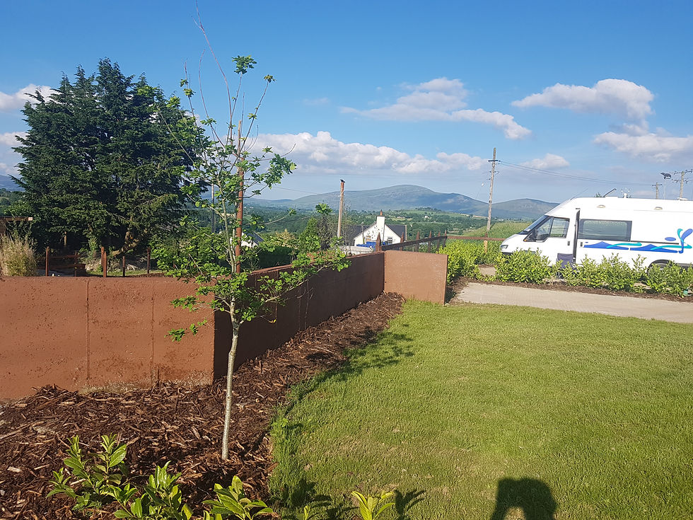 Camper Van in Brandon Hill Camping