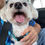 Thumbnail: Bernie