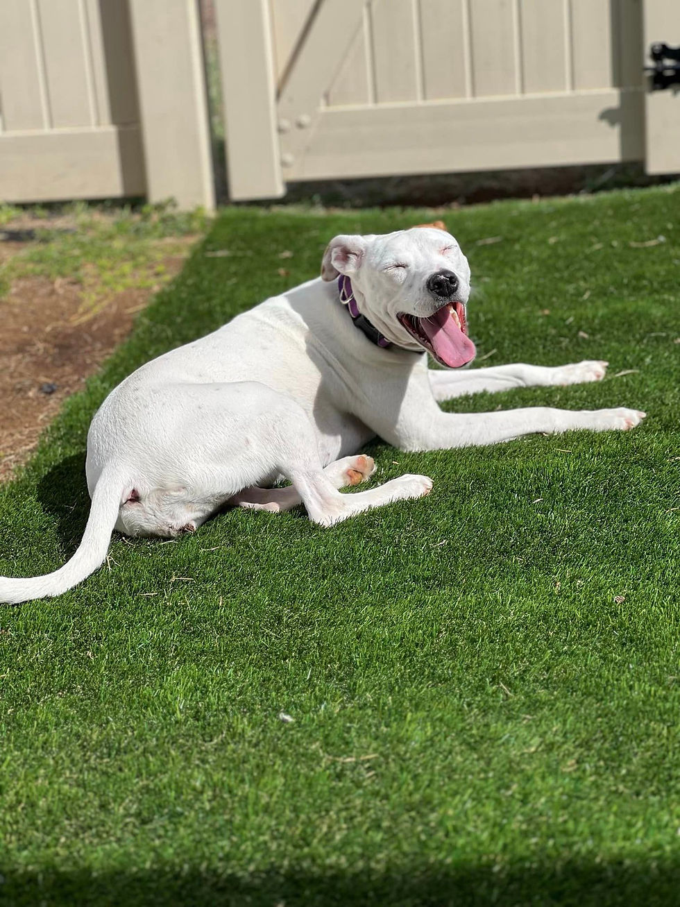 Thumbnail: Leila AKA Lindsey