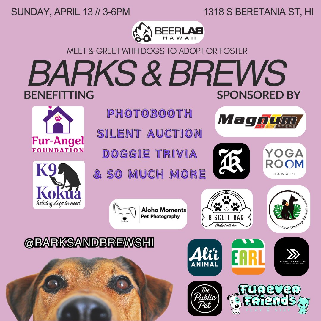 Barks & Brews at Beer Lab Hawaii