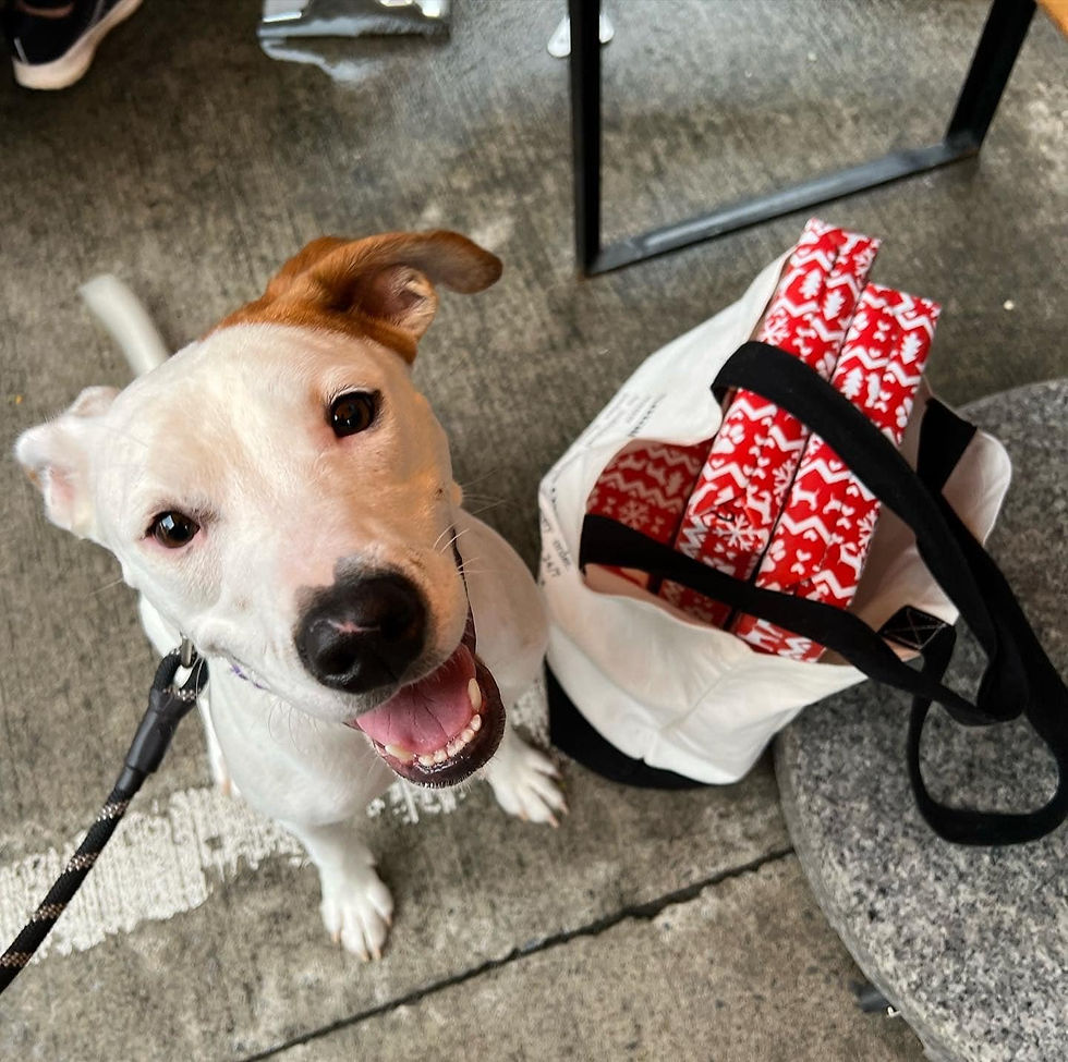 Thumbnail: Leila AKA Lindsey