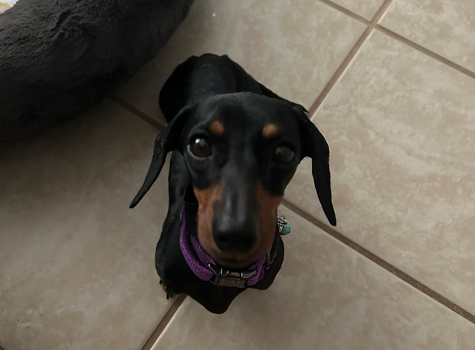 Thumbnail: Libby AKA Eve