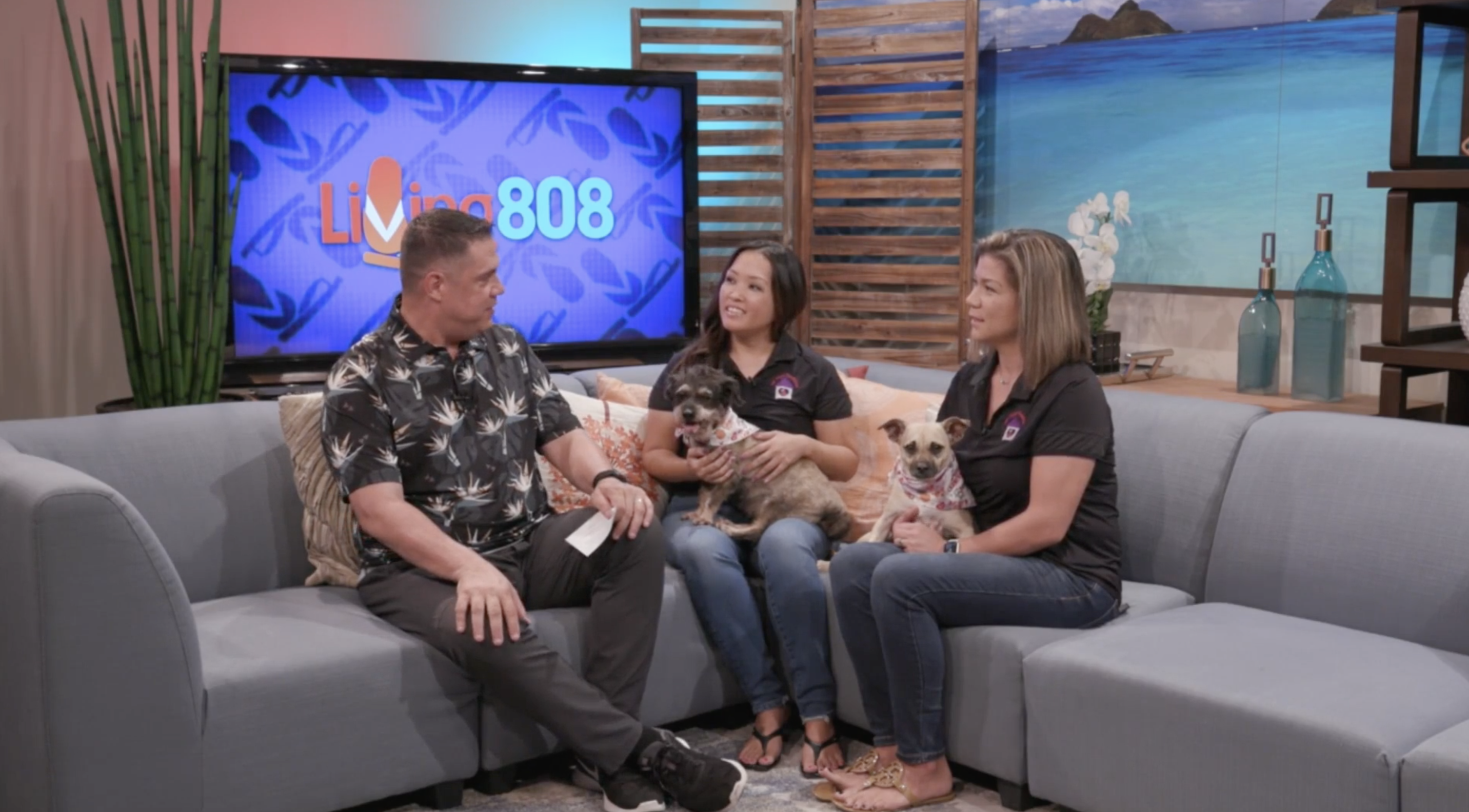 KHON2 — FAF to Host K9 & Keiki Carnival