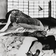 Reddish water / 赤い水