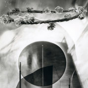 Hana Kakushi / 花隠し