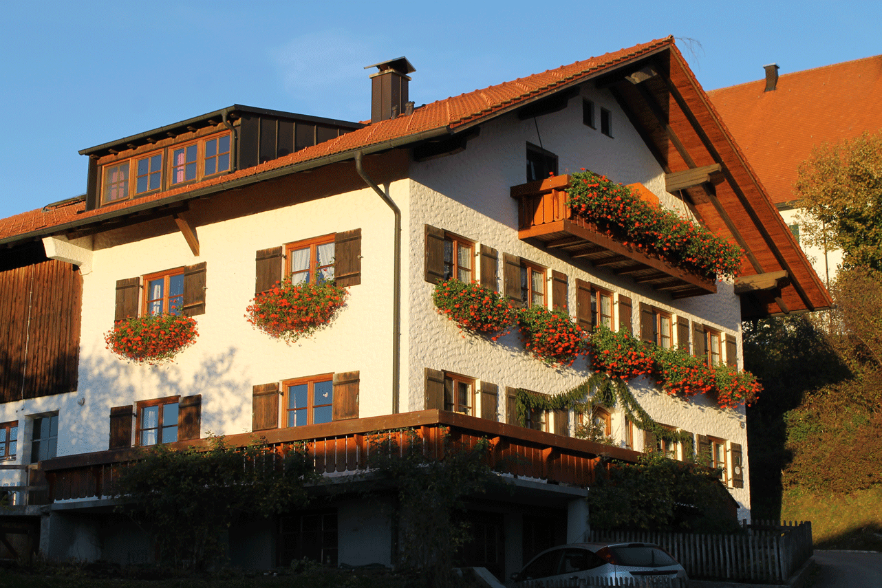 Haus