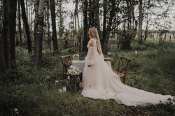 diamond willow photography