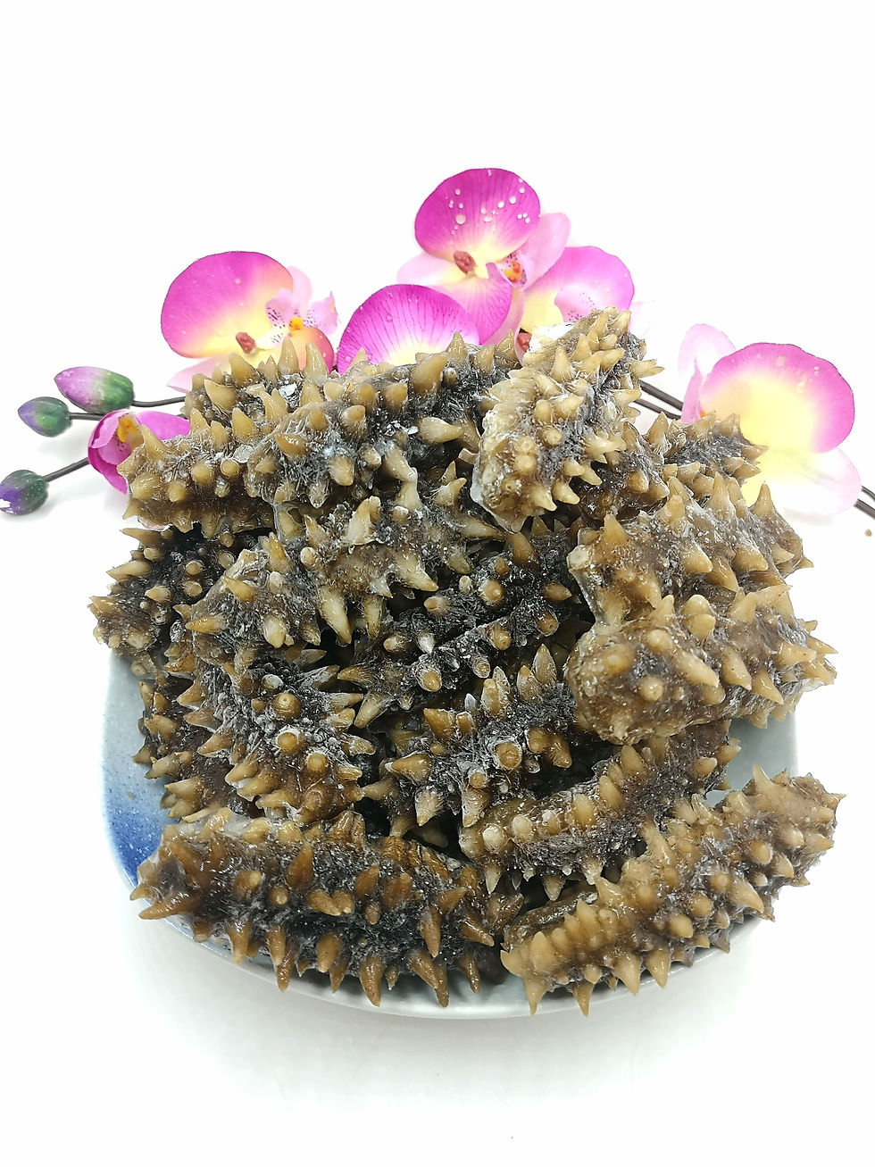 縮圖：​乾貨清水浸發-日本北海道特級遼參 (30條)