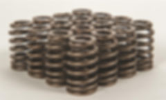 PMI .550 lift Ls valve spring set