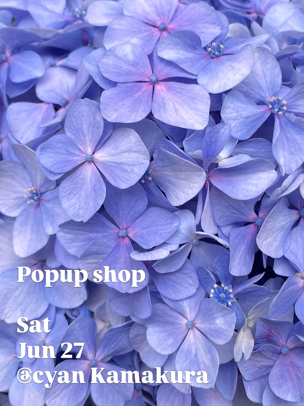 余白日和マルシェ@CYAN KAMAKURA 6/27(土) 10am-4pm 鎌倉、佐助稲荷からすぐの素敵なカフェにて。皆様のお越しをお待ちしております。