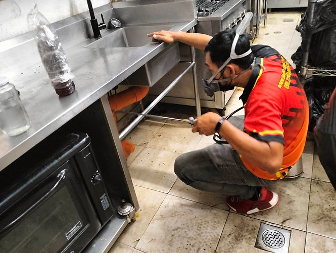 pest inspection.jpeg