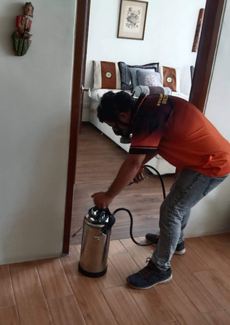 termite spraying.jpeg