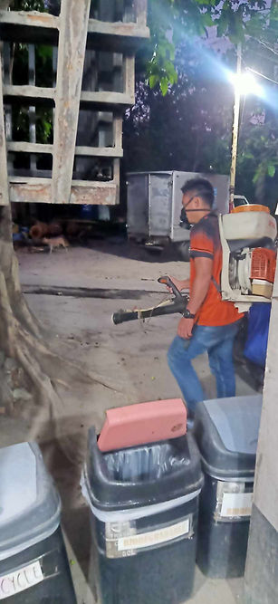 ormoc pest control misting.jpeg