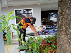 termite control bohol