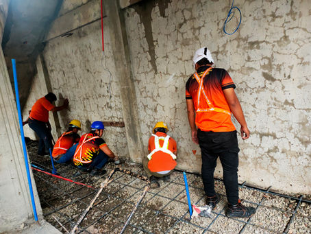 Termite Control & Prevention in Cebu: Signs, Risks, and Proven Solutions