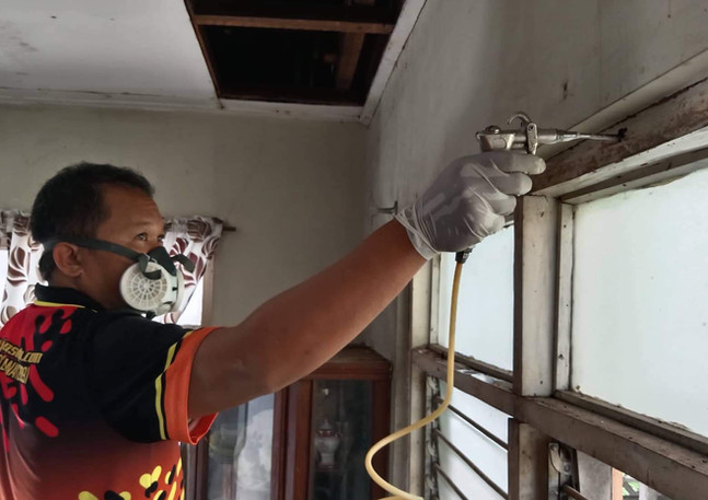 termite foaming.jpeg