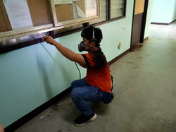 termite control bohol
