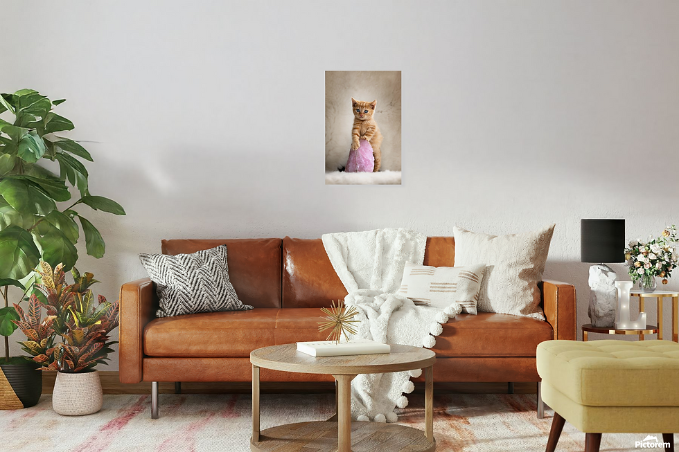 Thumbnail: High-Quality Fine Art Canvas Print: Innocence