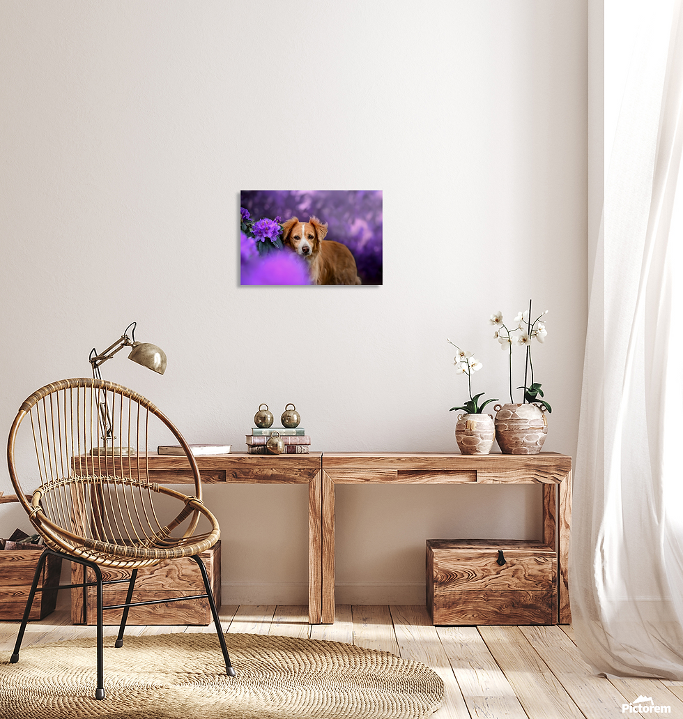 Thumbnail: High-Quality Fine Art Canvas Print: Purple Blossom Dog
