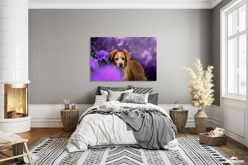 Thumbnail: High-Quality Fine Art Canvas Print: Purple Blossom Dog