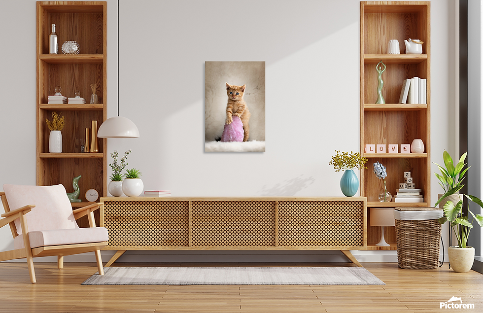 Thumbnail: High-Quality Fine Art Canvas Print: Innocence