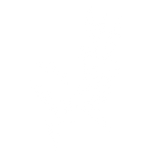Leaf%20(2)_edited.png