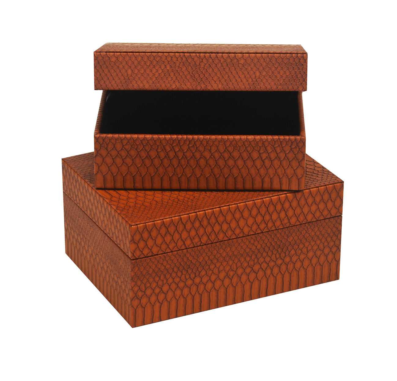 Shargeen Box Tan Reptile