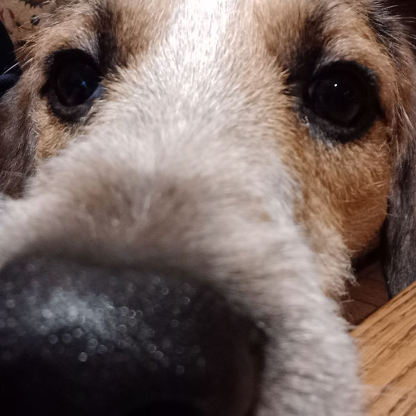 20221119_231031.jpg