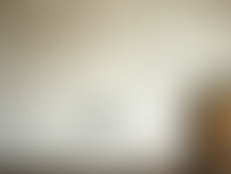 What It Means To Be a Mold-Conscious Home Builder