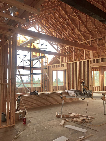 hidden toxins in new North Idaho home build