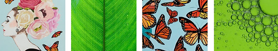 reference images.JPG