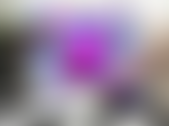 Flutter Development in Zurich: Building Responsive Mobile Apps