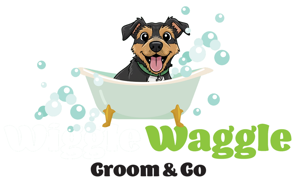 Main logo Version 2 no-background.png