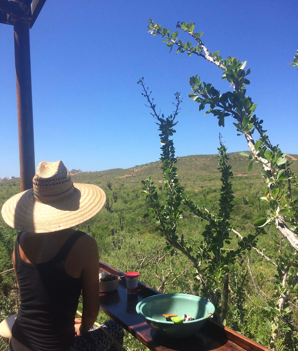 Enjoy the view of the valley and mountain