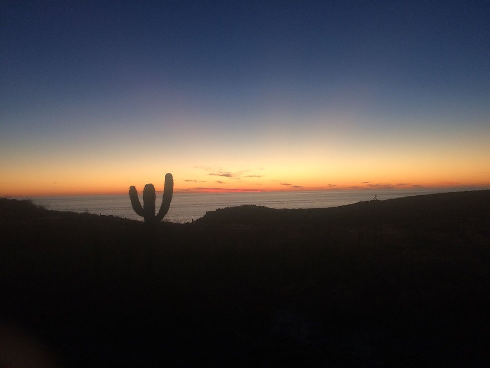 Coucher de soleil/ Sunset