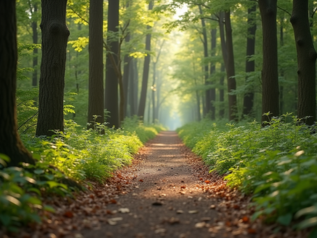 Exploring the Boundaries of Addiction Recovery: What You Need to Know