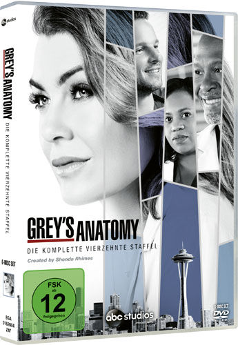 Greys Anatomy - Kompl. Staffel 14 (DVD) Min: /DD5.1/WS 6DVDs