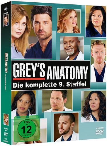 Greys Anatomy - Kompl. Staffel #9 (DVD) Min: /DD5.1/WS 6DVDs