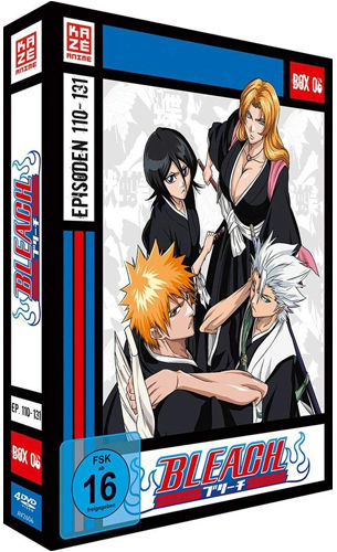 Bleach TV Serie - BOX #6 (DVD) 4DVDs Episoden 110-131