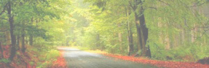 Camino 05.jpg