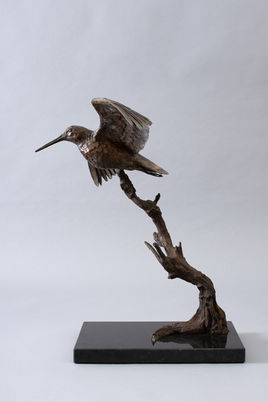 It was my aim with this piece to capture the motion of a Woodcock's flight in sculptural form. This often plump wading bird becomes a collection of seamlessly elegant lines when its' wings are at full span. A bird who's numbers are diminishing due to loss of habitat, this British resident can be seen wintering all around the UK, not to mention the woods next to my studio. 