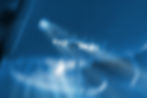 00305399ae48d4b4c6dd03096890-1426881.jpg