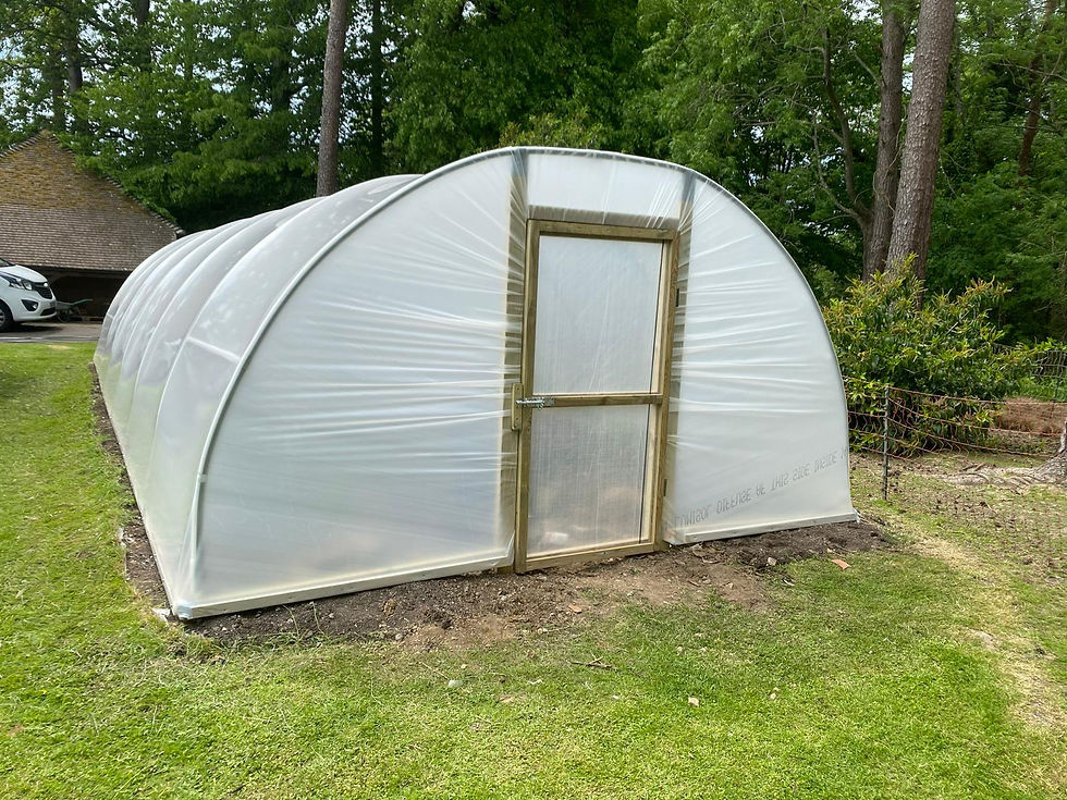 Garden Polytunnels and Small-Scale Growing Practises